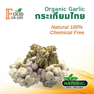 กระเทียมไทย ออร์แกนิค มาตรฐานเกษตรอินทรีย์ ปลอดภัย 100% รสเผ็ดแบบธรรมชาติ สรรพคุณเป็นยาอายุวัฒนะ ทานอาหารเป็นยาดีที่สุด