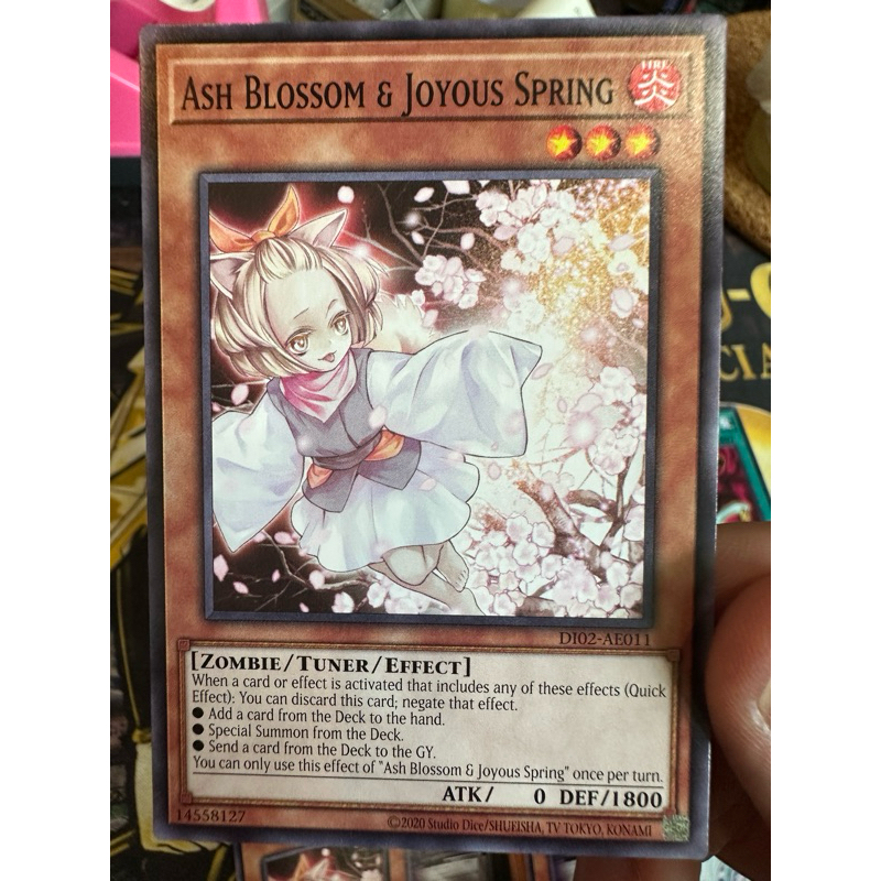 DI02-AE011  Ash Blossom & Joyous Spring - Normal (Asia English)