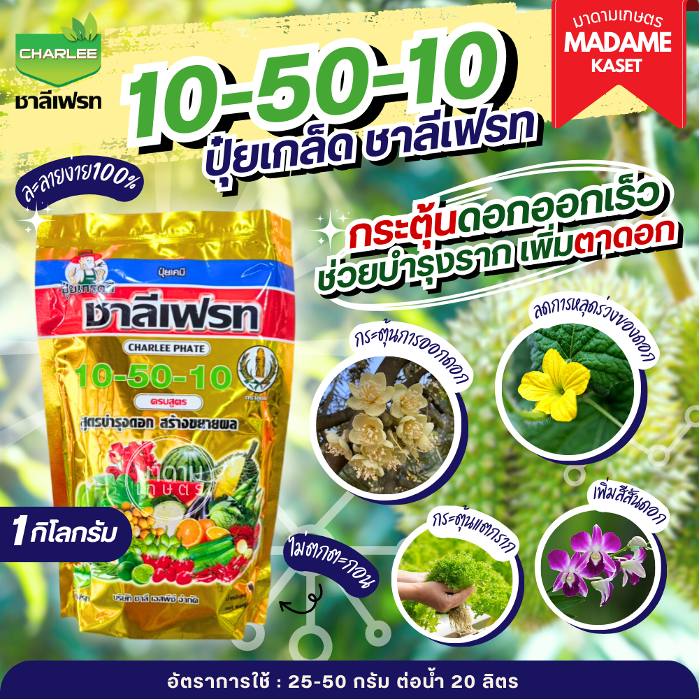 ยกลังx25 | ปุ๋ยเกล็ด ชาลีเฟรท 10-50-10 บำรุงราก ช่วยแตกรากใหม่ เร่งดอก ติดผลดก ขยายขนาดผล 1 กิโลกรัม