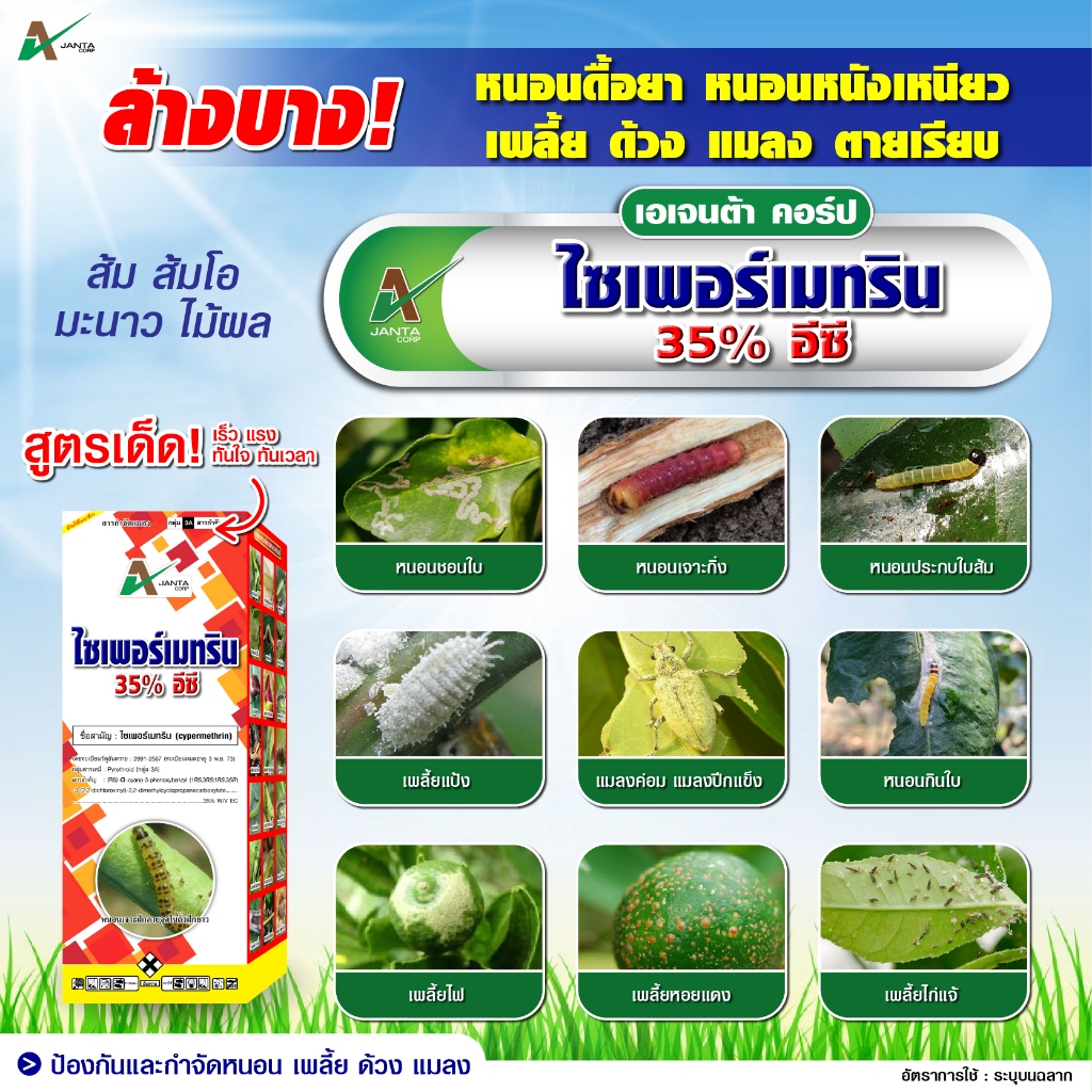 ไซเพอร์เมทริน เอเจนต้า คอร์ป ยาน๊อค สารป้องกันกำจัดแมลง กำจัดเพลี้ย กำจัดไร กำจัดหนอน แมลงปีกแข็ง ด้วง (1 ลิตร) - รูปที่ 4