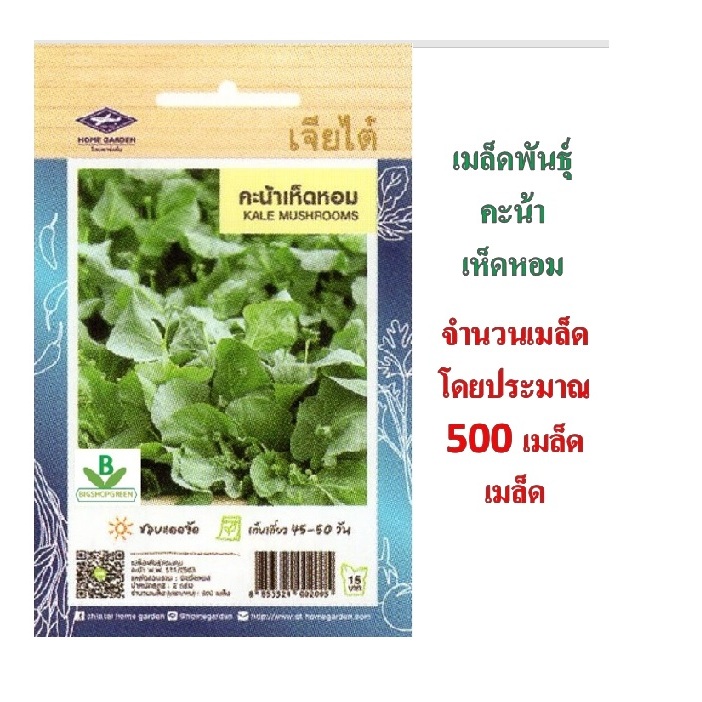 5 ฟรี 1 คละได้ เมล็ดพันธุ์ คะน้าเห็ดหอม  เจียไต๋   เมล็ดพันธุ์ผัก เมล็ดผัก เมล็ดพันธุ์พืช  เมล็ดพืช
