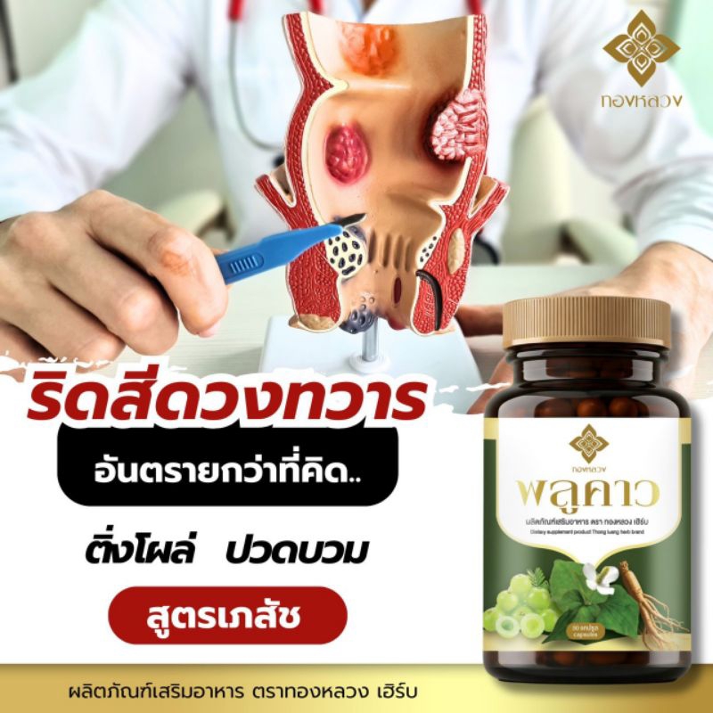 พลูคาวริดสีดวง สูตรเภสัช ตราทองหลวง