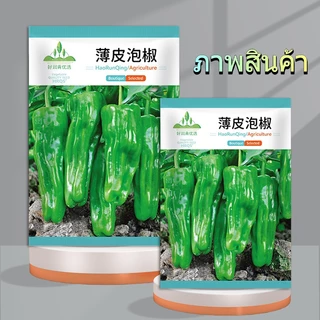 100 เมล็ด เมล็ดพันธุ์พริกหยวกญี่ปุ่น เมล็ดพริกหยวก เมล็ดพริกเปลือกบาง งอกง่าย โตไว ผลดกมาก