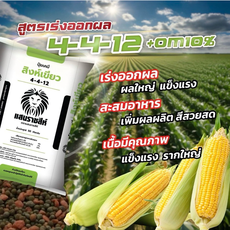 ปุ๋ยแสนราชสีห์สิงห์เขียว สูตร 4-4-12 ปุ๋ยบำรุงดอก เพิ่มผลผลิต บำรุงผลอ่อน น้ำหนักดี แบ่งขาย 950 กรัม - รูปที่ 3