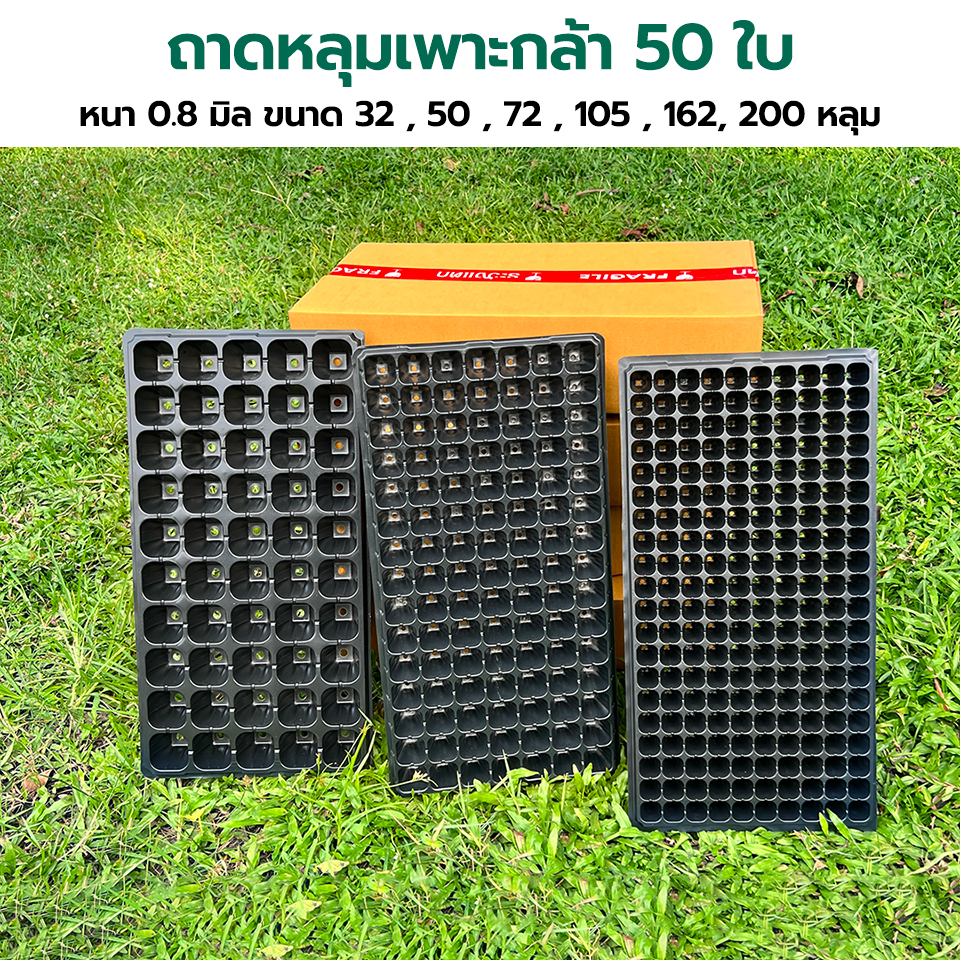 [ 50 ใบ/กล่อง ] - ถาดเพาะกล้า ถาดหลุม ถาดเพาะชำ หนา 0.8 มิล ขนาด 21, 32, 50, 72, 105, 162, 200 หลุม
