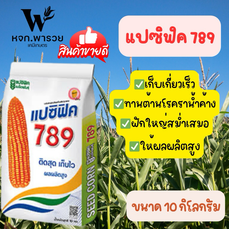 (EXP:15/8/69)เมล็ดพันธุ์ข้าวโพด แปซิฟิค 789 (3.5 หุน ) ขนาด 10 กิโลกรัม