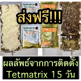 เหยื่อปลวก ยกลังราคาส่ง Termatrix กำจัดปลวกยกรัง อาหารปลวกปลวกตายยกรัง เหยื่อกำจัดปลวกล็อตใหม่ล่าสุด