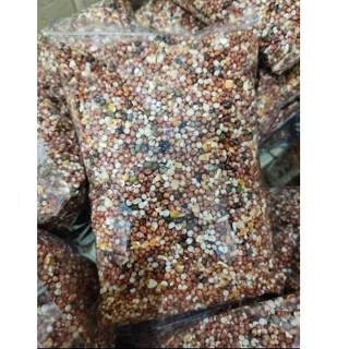 (ราคาส่ง) อาหารนกเขาใหญ่10โล นกเขาแขก นกเขาชวา นกพิราบ (แบบต…