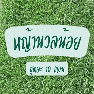หญ้านวลน้อย หญ้าจริง ตัดสด จากไร่หญ้าป้าจันทร์ สำหรับจัดสวนกลางแจ้ง (10 แผ่น = 5 ตร.ม.)
