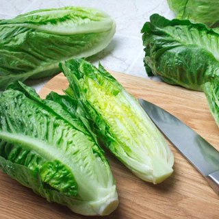 เมล็ดพันธุ์ ผักสลัด ปารีสไอแลนด์คอส 150 เมล็ด Parris island Cos Lettuce Seed เมล็ดพันธุ์แท้ นำเข้าจากต่างประเทศ โตไว