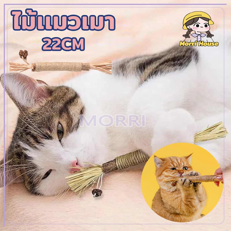 ของเล่นการงอกของฟัน ขัดฟันแมว ไม้เเมวเมา แบบเชือก ของเล่นแมว ลดคราบหินปูน สําหรับสัตว์เลี้ยง แมว
