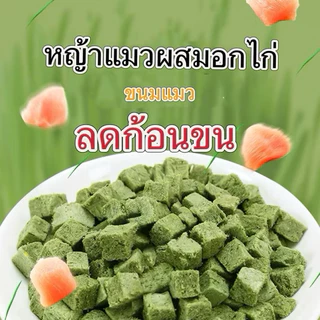 หญ้าแมว ฟรีซดราย 1 กิโลกรัม Pawtique ขนมแมว Freeze Dried 100% อกไก่แมว ขนมฟรีซดรายแมว 1kg