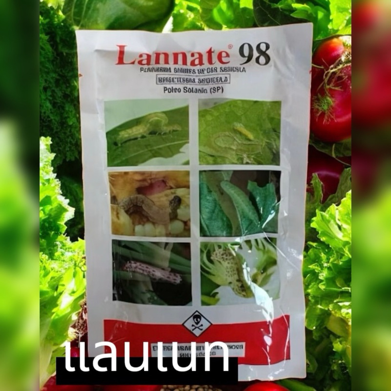 เมโทมิล แลนเนท 98 (หัวแลนเนท) ป้องกัน กำจัดหนอน เพลี้ย  ซองขาว100กรัม