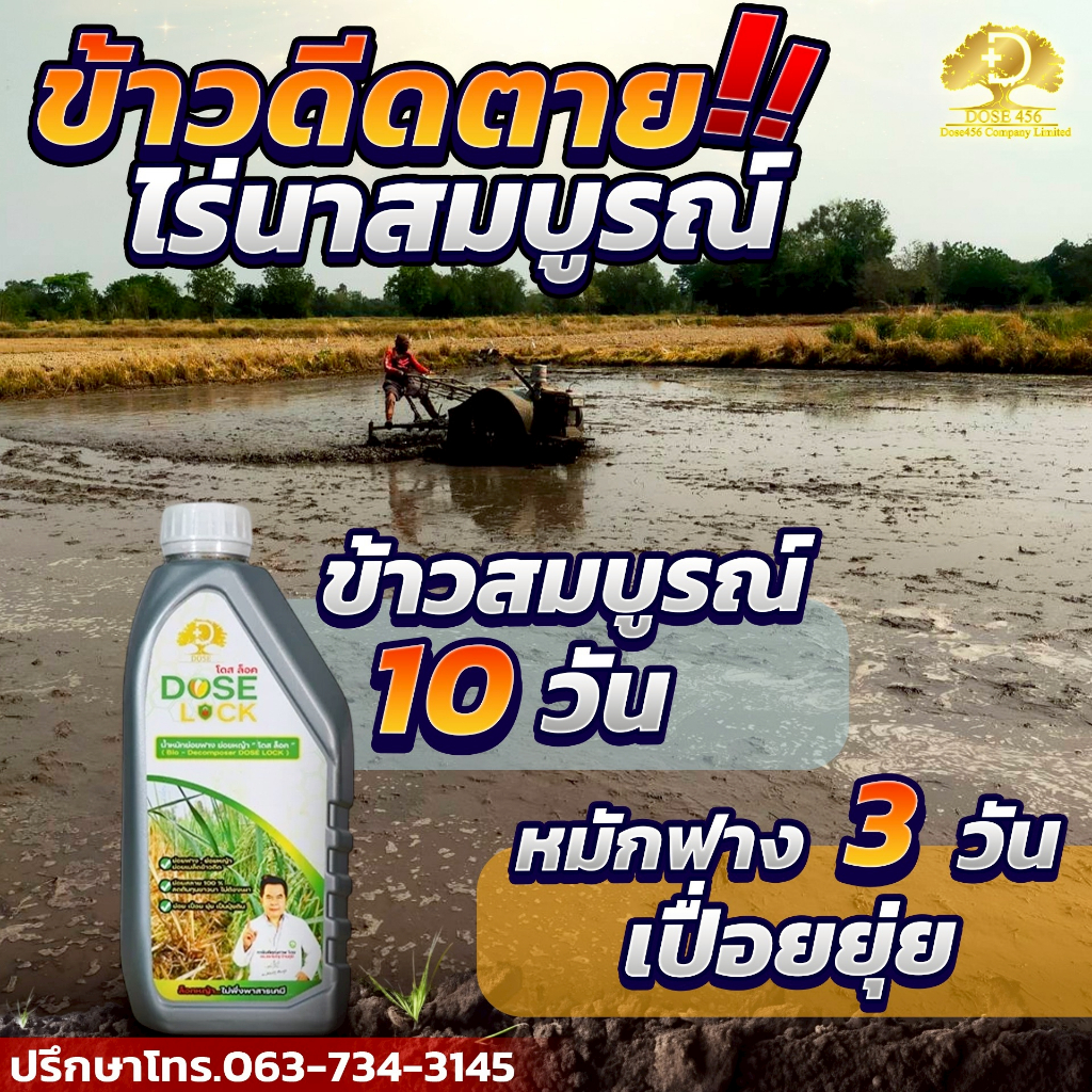 [ส่งเร็วทันใจ] โดสล๊อค DOSE LOCK ลดข้าวดีด ข้าวเด้ง ย่อยสลายตอซัง ฟางข้าว - รูปที่ 2
