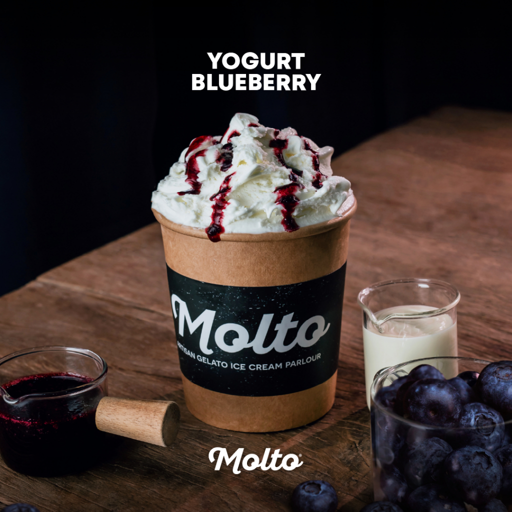 Molto ไอศกรีม รสโยเกิร์ตบลูเบอร์รี 16 ออนซ์ - Molto Premium Gelato-Ice cream Yogurt Blueberry 16 oz.