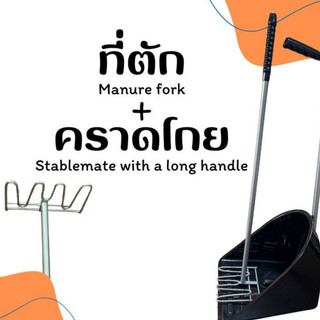 ชุดโกยขยะ2ชิ้น (ที่โกย+คราดโกย)