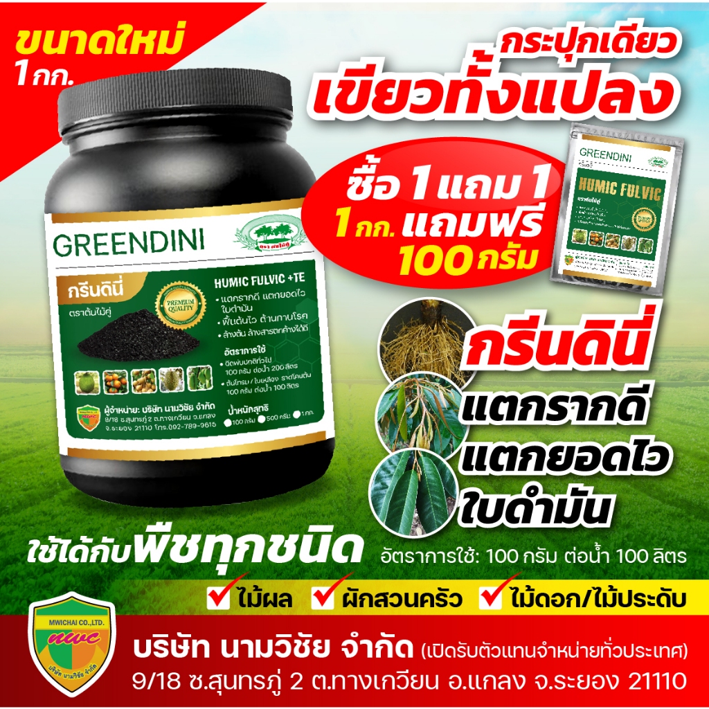 กรีนดินี่ ขนาด 1 กิโลกรัม (ซูเปอร์โพเทสเซียม ฮิวมิค95%) แถมฟรี กรีนดินี่ ขนาด 100 กรัม 1 ซอง แตกรากดี แตกยอดไว ใบดำมัน