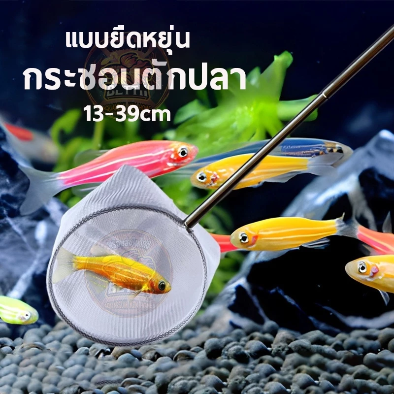 กระชอนตักปลา 3D ขนาดเล็กผ้าละเอียด แบบยืดหยุ่น สำหรับตักปลา กุ้ง หอย