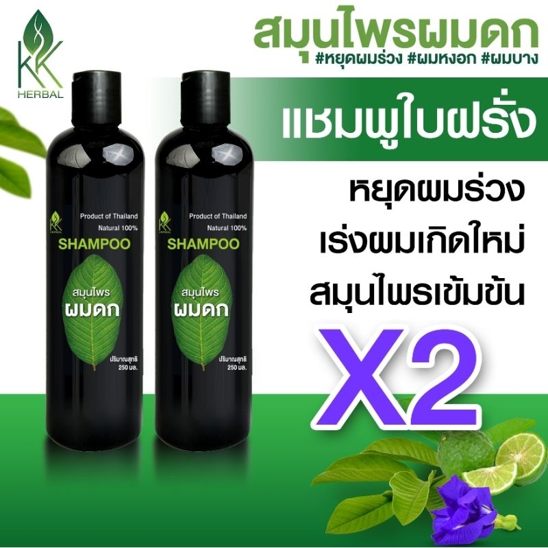 (2ขวด) สุดคุ้ม แชมพูชุดปลูกผม  ขนาด250ml. ปลูกผมดก หยุดผมร่วง ชลอหงอก ผมมีน้ำหนัก ดกดำ เงางาม แชมพูใบฝรั่้ง สมุนไพรผมดก