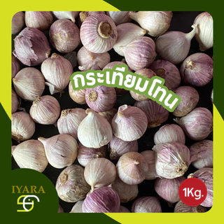 กระเทียมโทน กระเทียมโทนของใหม่ หัวสวยใหญ่ ขนาด1กิโลกรัม