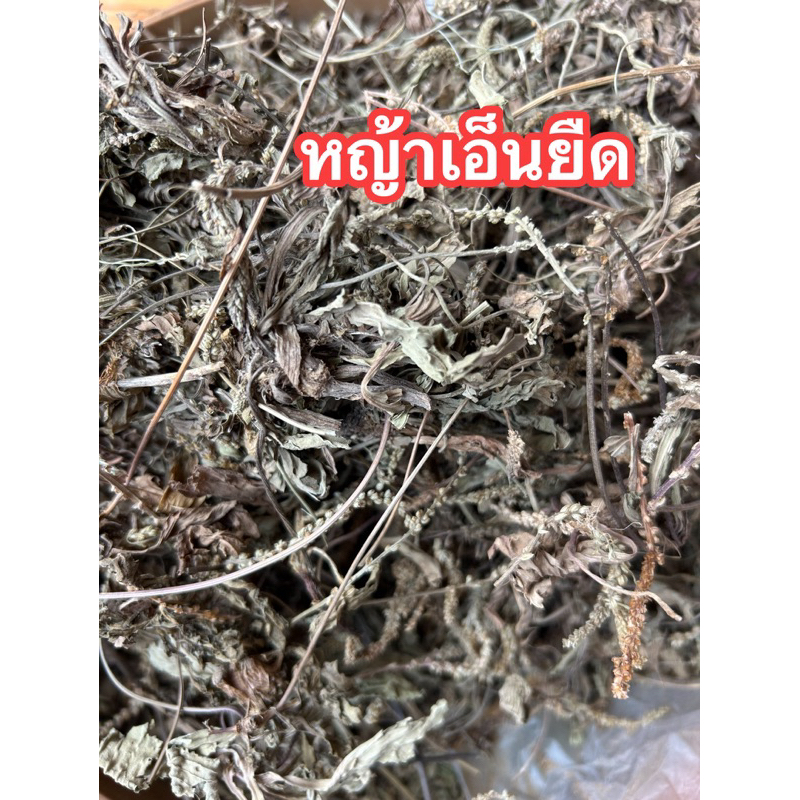 ผักกาดน้ำแห้ง หรือ หญ้าเอ็นยืด ผักกาดน้ำ หญ้าเอ็นยืดแห้ง หญ้าเอ็นยืด ผักกาดน้ำ