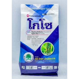 โกโซ 250 กรัม ( ทีบูโคนาโซล + ไตรฟลอกซีสโตรบิน 50% + 25% WG) สารกำจัดและป้องกันโรค นาติโว เอเทียจ