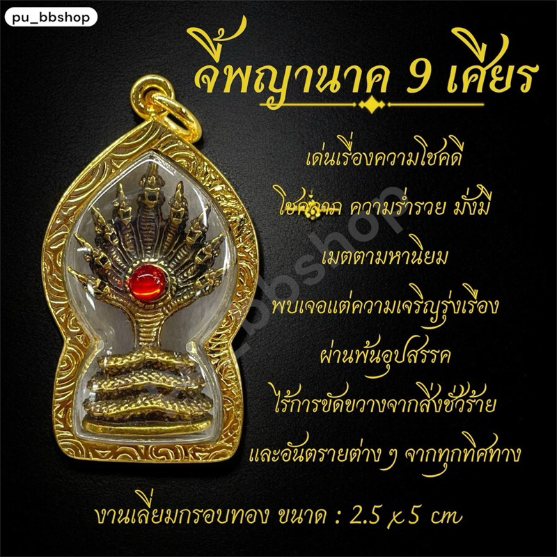 จี้พญานาค 9 เศียร งานเลี่ยมกรอบทอง ขนาด 2.5*5 cm.