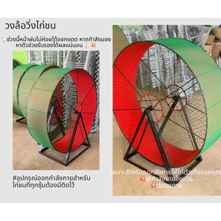 วงล้อไก่ชน สัตว์เลี้ยง * สั่งครั้งละ 1 ตัวเท่านั้น โปรดอ่านรายละเอียดก่อนสั่งสินค้า
