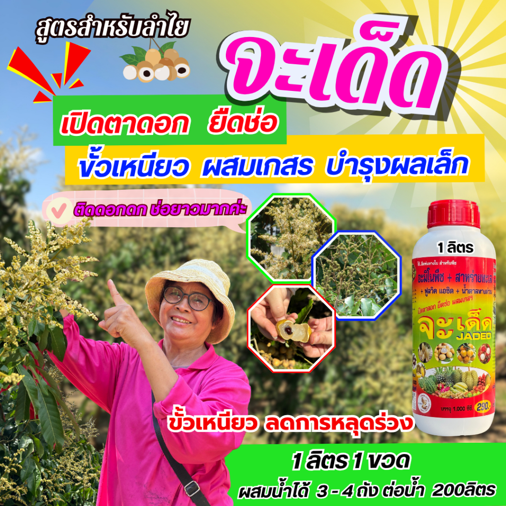 จะเด็ด 1 ลิตร สำหรับลำไย ฉีดพ่นทางใบ ลดการใช้ปุ๋ยเคมีทางดิน เปิดตาดอก ยืดช่อ ผสมเกสร ขั้วเหนียว บำรุงผลเล็ก
