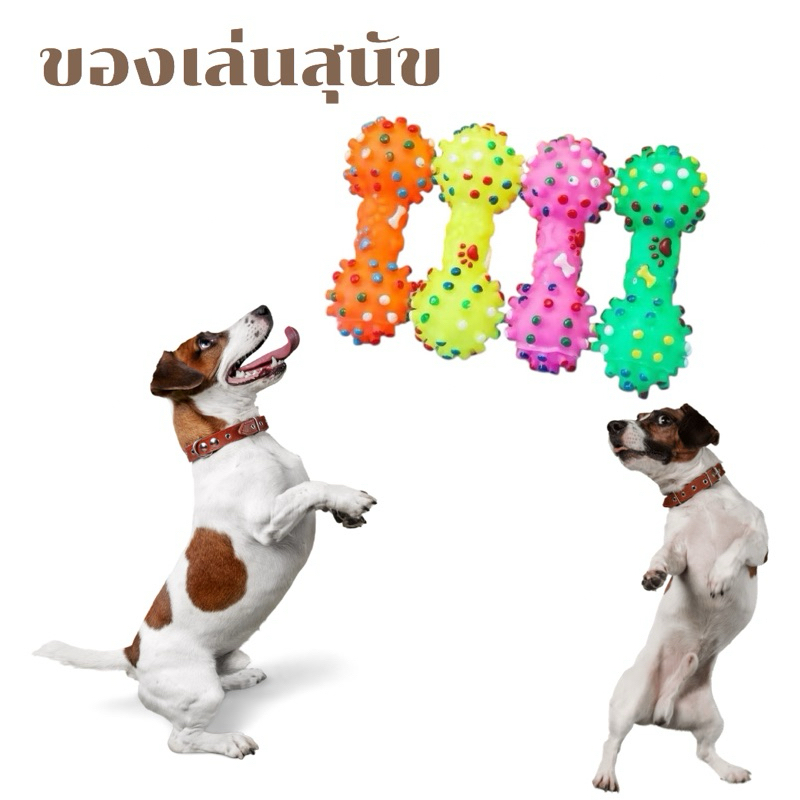 ASHIให้สัตว์เลี้ยงเล่น #8เป็นการออกกำลังกาย บีบแล้วมีเสียงเพื่อเรียกความสนใจจากสัตว์เลี้ยง