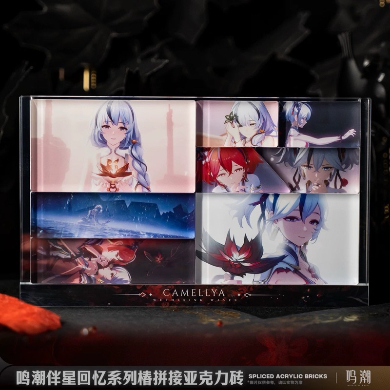 [พร้อมส่ง] Official แท้ 17cm Camellya Wuthering waves Kuro game WuWa