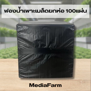 ฟองน้ำเพาะเมล็ดแบบยกห่อ100แผ่น