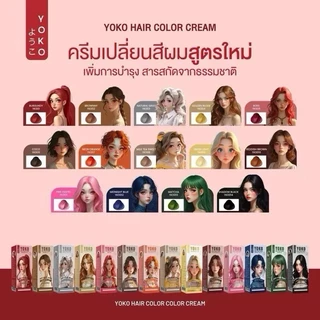 โยโกะ คัลเลอร์ แฮร์ สีย้อมผม ติดทน สีชัด ไม่ทำร้ายเส้นผม มีให้เลือก 14 เฉดสี YOKO ((สูตรใหม่))