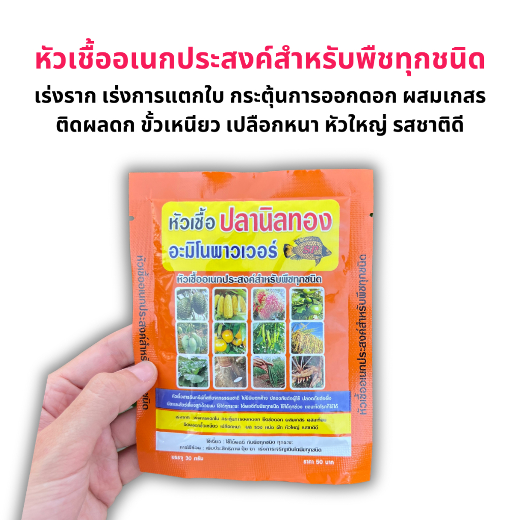 หัวเชื้ออะมิโนพาวเวอร์ เร่งการเจริญเติบโต ผสมเกษตร ติดง่าย ผลดก ขั้วเหนียว ตราปลานิลทอง