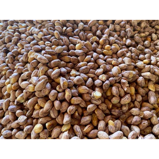 โปรคู่500กรัม(ถั่วลายเสือ500g.+ถั่วเสื้อลาย500g.)