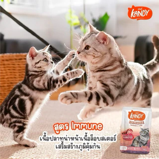 Kandy [ยกโหล 12 ซอง] อาหารเปียกแมว แคนดี้ ขนาดซองละ 70 กรัม