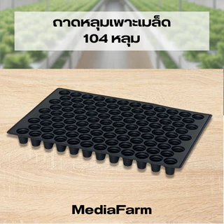 ถาดหลุมเพาะเมล็ด ถาดเพาะเมล็ด