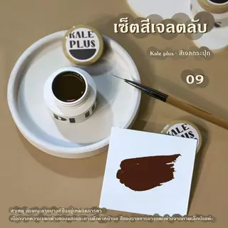 Kale Plus รุ่นใหม่สีเจลเพ้นท์เล็บกระปุก สีเจลตลับ สีเพ้นท์เล็บสีทึบ เหมาะกับร้านทำเล็บ เพ้นท์เส้นคมชัด มีให้เลือก12สี