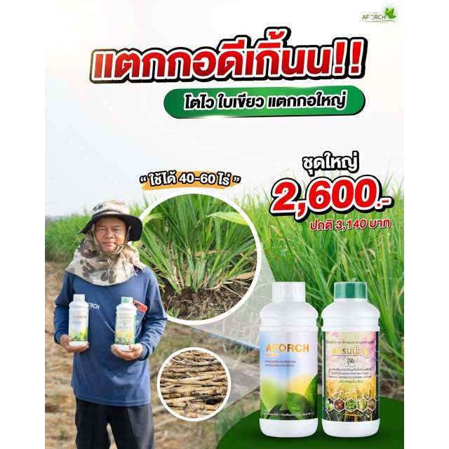 เอฟอช AFORCH สารจับใบ สารนำพา ขนาด 1,000 ซีซี ไม่ทิ้งสารตกค้าง ดูดซึมทันที ช่วยประหยัดค่าปุ๋ย ราคา ถูกที่สุด ดีลบีเคเค แกลเลอรีภาพที่ 2