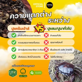 [🔥โปรพิเศษ🔥] ปูนาน้ำใสดองรุ่นชายน้อย คละไซร์ 3 ถุง มีมันทุกตัว ลดจุก รีบด่วน ลดจาก 999 บาท