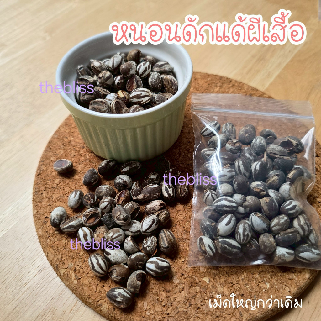 [thebliss] พร้อมส่ง เม็ดใหญ่กว่าเดิม ดักแด้ชีส เสริมโปรตีน สำหรับสัตว์ แฮมสเตอร์ แฟตเทล ชูการ์ กระรอก