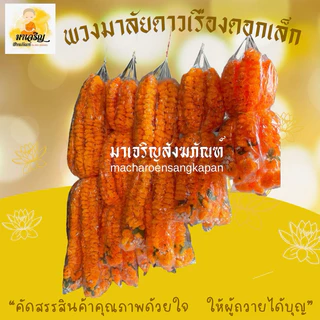 พวงมาลัยดาวเรืองดอกเล็ก (ดอกเล็ก) ความยาวทั้งเส้น