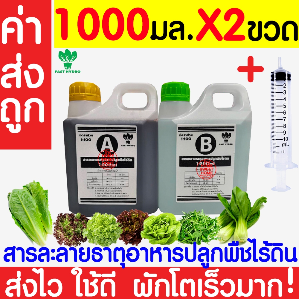 สารละลาย AB ไฮโดรโปนิกส์ ผักสลัด ผักไทย โตเร็ว พร้อมใช้ คุ้มค่า