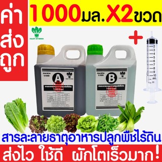 *ค่าส่งถูก* สารละลายAB (1000mlx2ขวด)+ไซริงค์10มล.ไฮโดรโปนิกส์ เอบี ธาตุอาหาร ผักไฮโดร Hydroponics ผักสลัด clearance