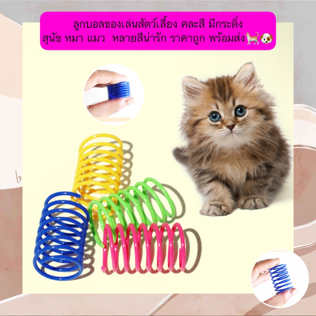 BN-635 🌀 สปริงของเล่นแมว พลาสติก คละสี แพ็ค 4 ชิ้น น่ารัก ราคาถูก พร้อมส่ง🐱