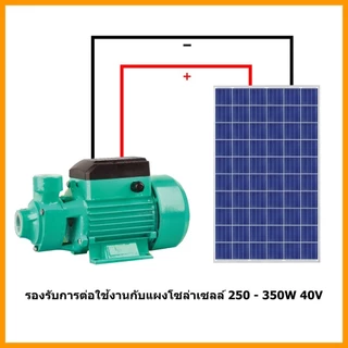 ปั้มหอยโข่งบัลเลส ปั๊มหอยโข่ง ชุดปั๊มน้ำ โซล่าเซลส์ โซล่าเซลล์ รุ่น QB-60 12V24V DC Solar Water Pump เหมาะสำหรับรดน้ำต้น