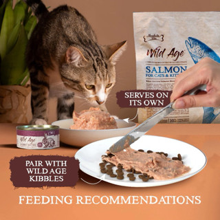 *พส=พร้อมส่ง(80 G 8 รสชาติ) Absolute Bites Wild Age Canned C…