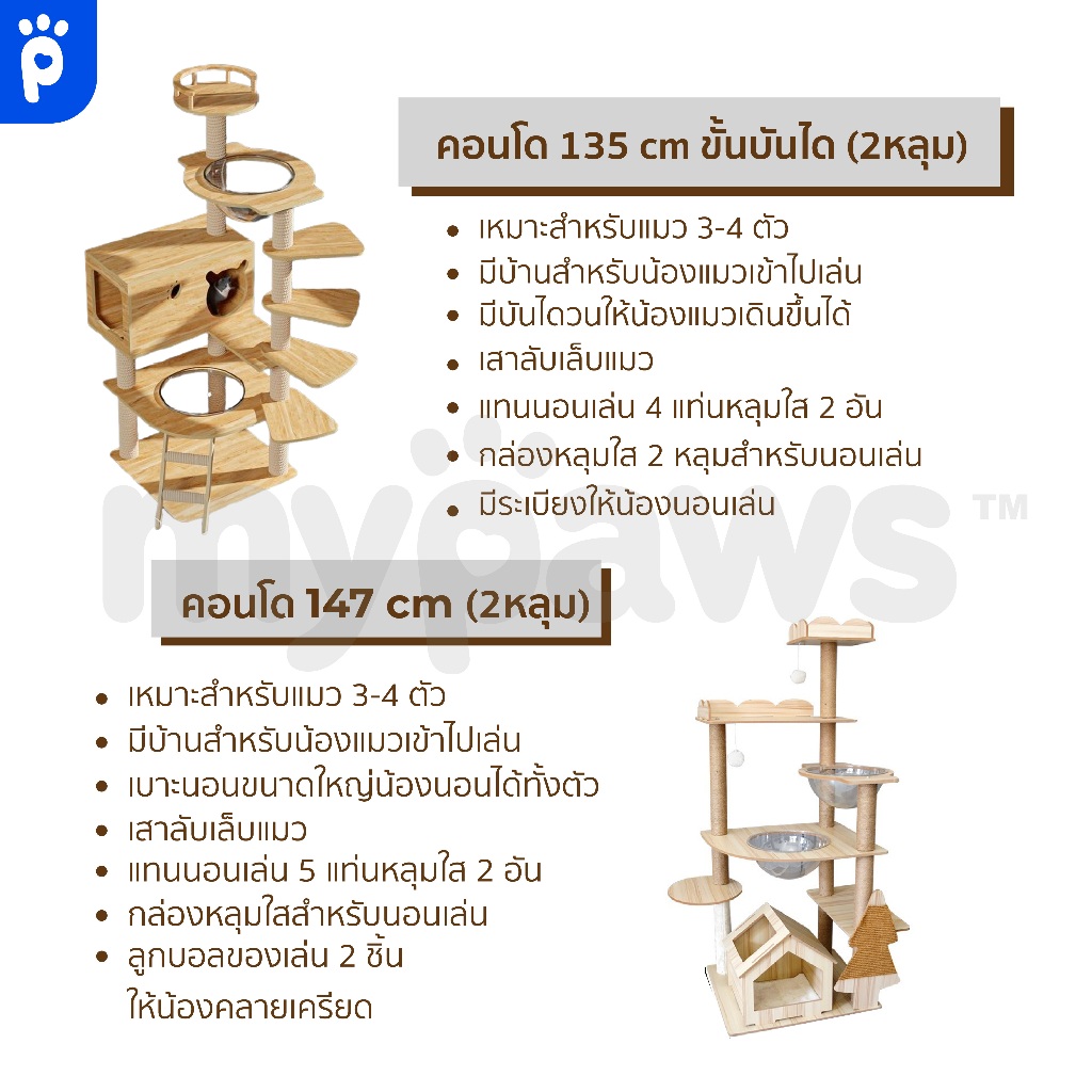 My Paws คอนโดแมว 2 หลุม แบบไม้ พร้อมโดมนอนแบบใส บันไดและกล่องนอน เสาลับเล็บทั้งต้น - รูปที่ 2
