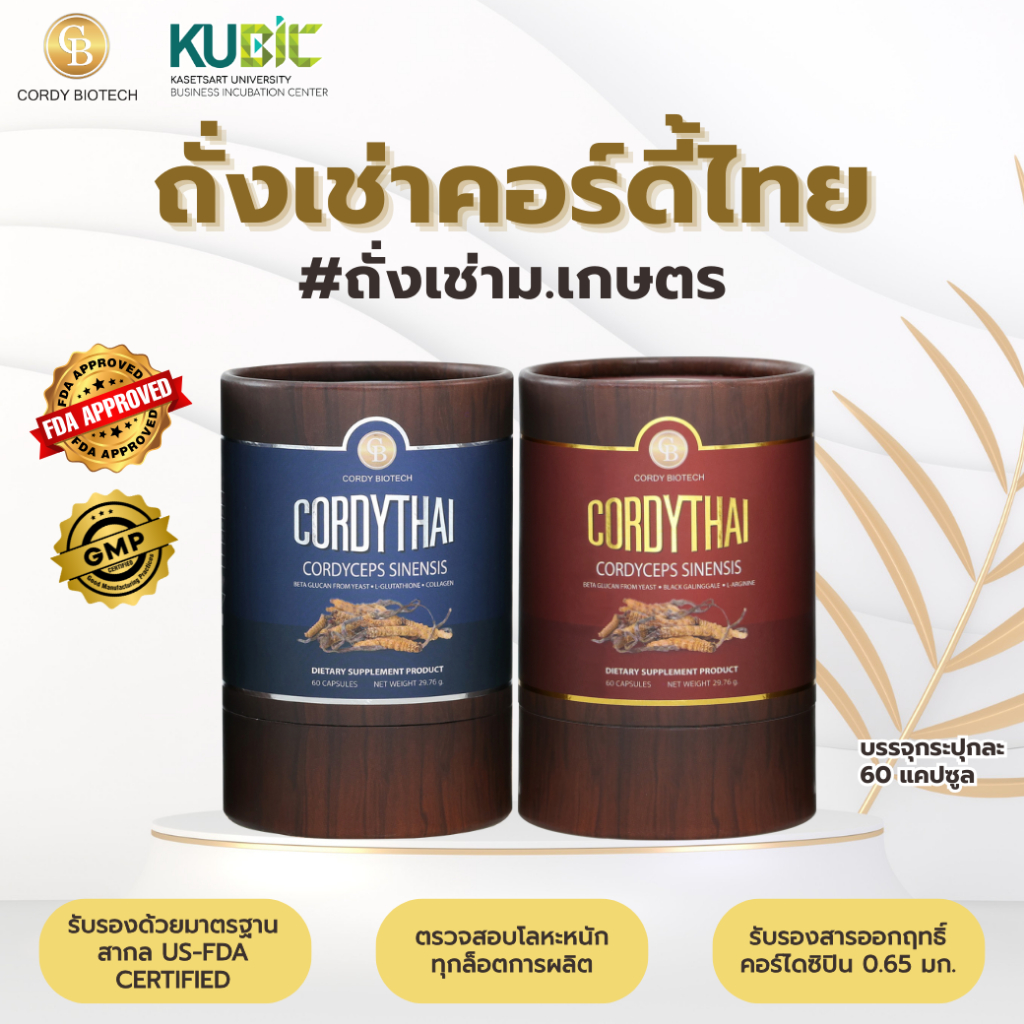 Cordythai คอร์ดี้ไทย ถั่งเช่า อนุสิทธิบัตรร่วม มหาวิทยาลัยเกษตรศาสตร์