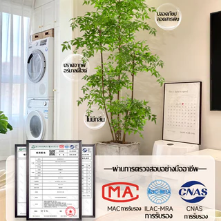 GAIDING-【อัตราการซื้อคืน 99.9%】 ต้นไม้ปลอมใหญ่ ต้นไม้ปลอม-ประดิษฐ์ 120/150cm สไตล์นอร์ดิกอิน ไม่ต้องบำรุงรักษา